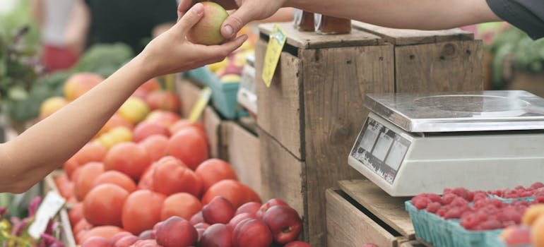 A person buying groceries