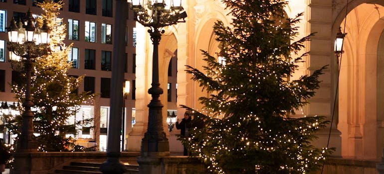 Christmas Tree at night