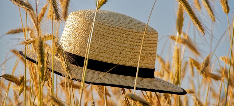 Straw hat resting in a sunny wheat field, capturing the feeling of late summer, often the best time to move to Terrell Hills.