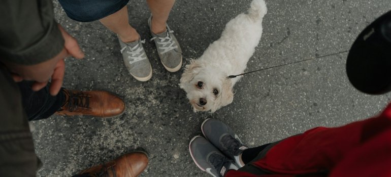 Family going for a walk looking for affordable housing around San Antonio 