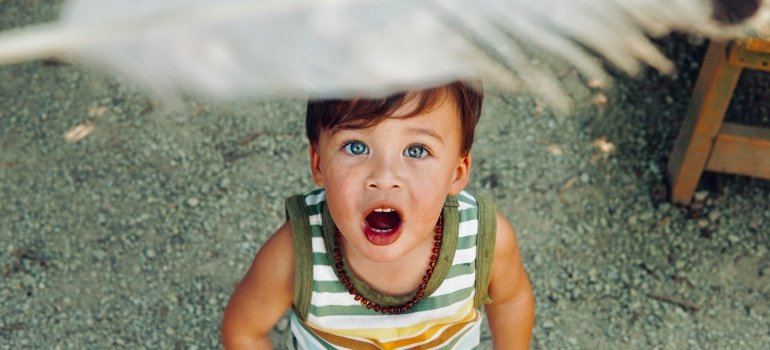 Child looking at a feather 