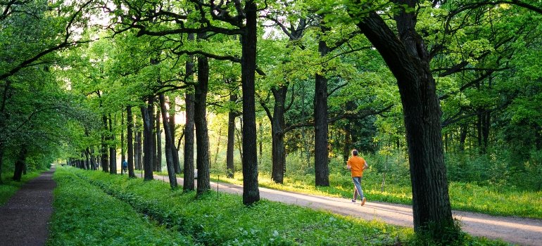Man running in a park alley, enjoying outdoor fitness after moving from Converse to Garden Ridge.