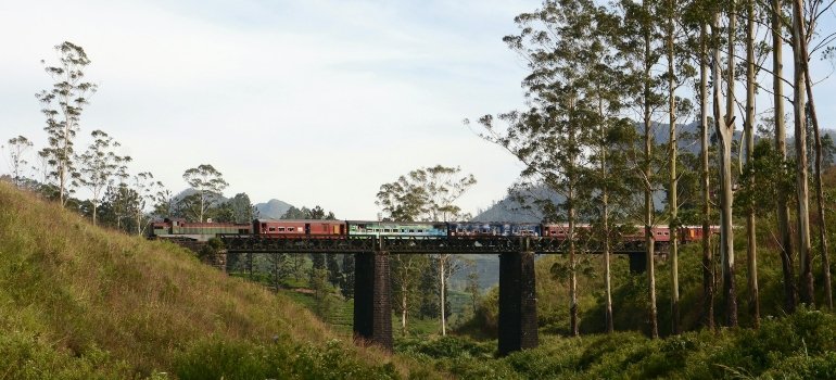 Train passing over a bridge in Hill Country