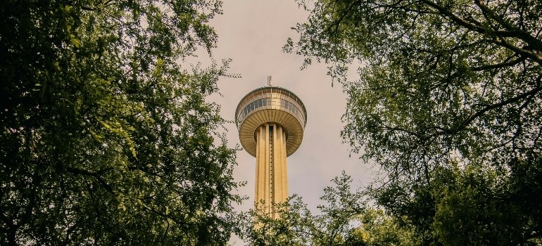 Tower Building and Trees during a move From Alamo Heights to Universal City.