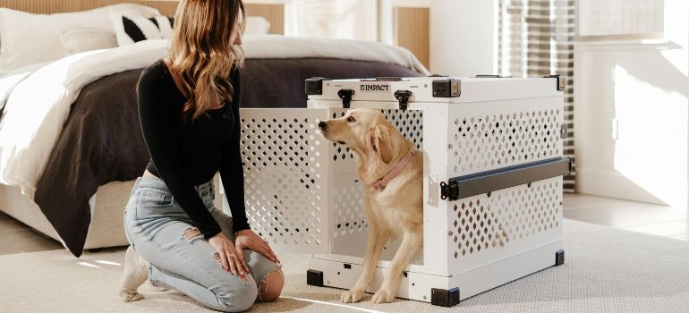Woman and Golden Retriever in Modern Bedroom Setting